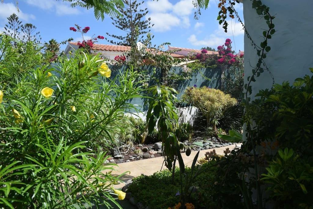 Feriehus Tres Beau Bungalow,jardin Tropical, Renovation Ete 2020