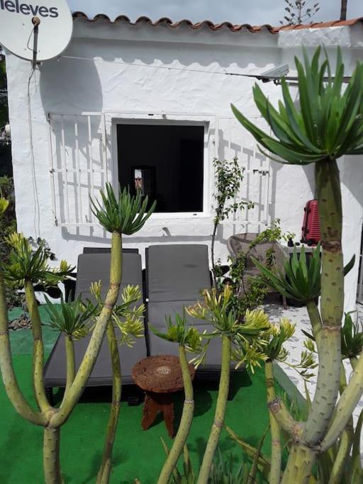 Tres Beau Bungalow,jardin Tropical, Renovation Ete 2020 Feriehus Playa del Inglés