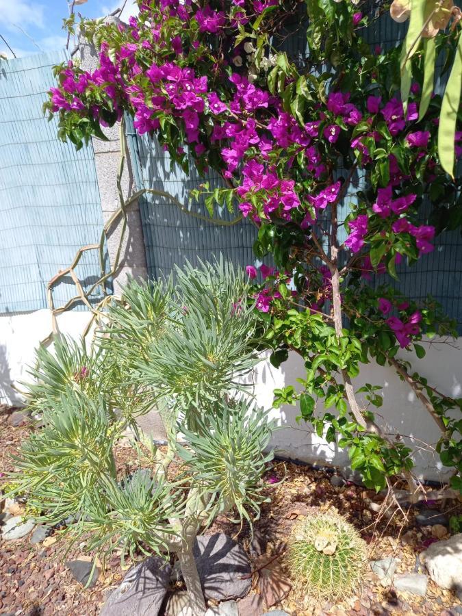 Tres Beau Bungalow,jardin Tropical, Renovation Ete 2020 Feriehus *
